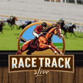 Race Track screenshot